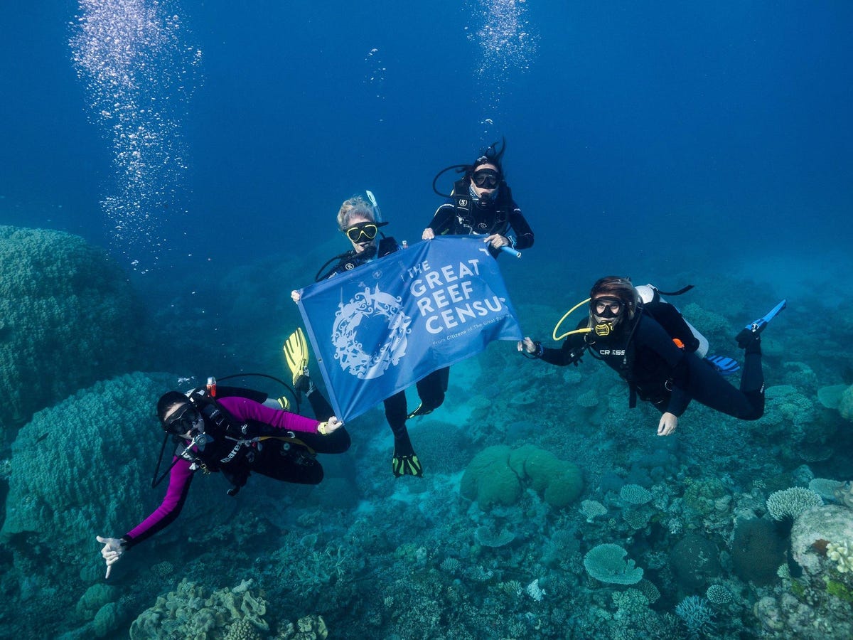 Divers-hold-great-reef-censored-banner-in-survey-expedition-on-spirit-of-spirit-of-freedom-must-credit-grappie-turtle-creative.  Jpg
