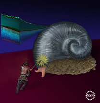 gastropod1.png