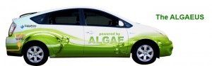 algaeus-vehicle-300x93.jpg
