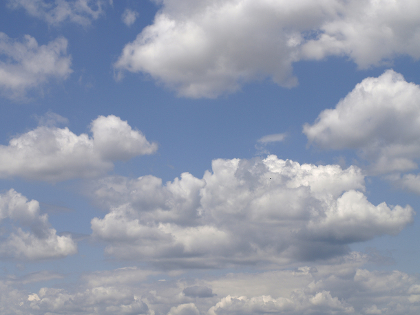 Cloud computing set to experience strong growth in the next five years