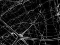 networkneurons.jpg