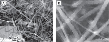nanowires-give-li-ion-batte.jpg