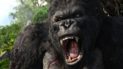 Kong roars