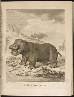 Hippopotamus book British Library