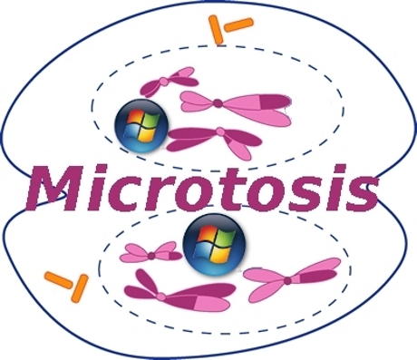 microtosis-460.jpg