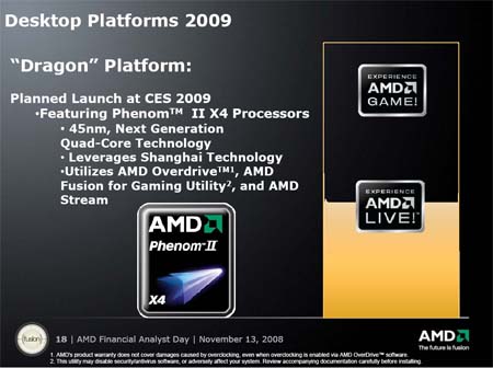 AMD Dragon Platform