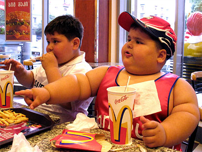 fat-kits-eating-mcdonalds.jpg
