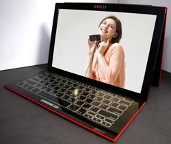 OLED laptop in Â‘09?