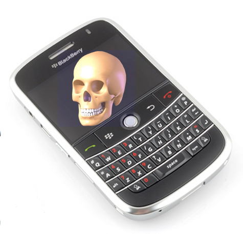 blackberry-yorick.jpg