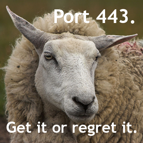 sheep443-460.jpg