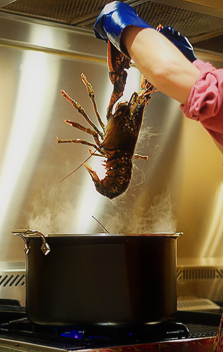 lobster-in-potsmall2.jpg