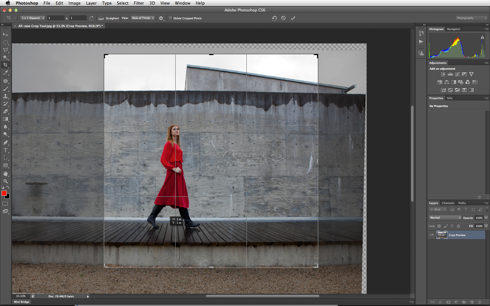 (Adobe Photoshop CS6 screenshot courtesy of Adobe Systems.)