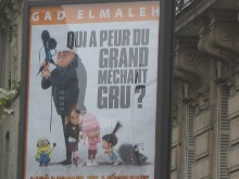 despicable-me-poster-in-french.jpg