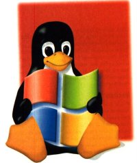 Linux with Windows from Delphi Consulting