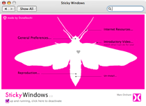 Sticky Windows preferences
