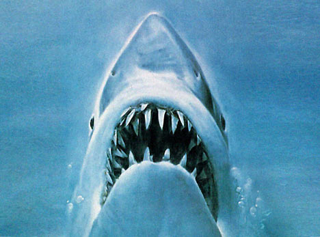 Jaws movie poster image