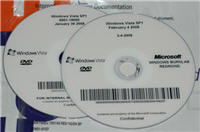 Vista SP1 discs