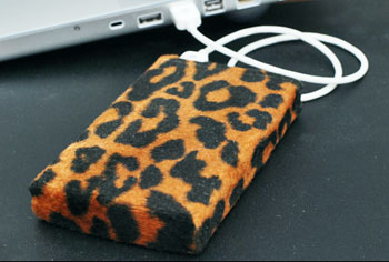 Leopard hard drive