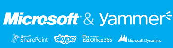 Microsoft paid $1.2 billion for Yammer. $1.2 billion is 25 percent of what the total social enterprise software pie will be in 2016.