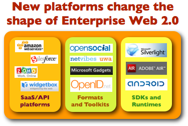 New Platforms Change The Shape of Enterprise Web 2.0