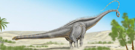 448px-seismosaurusdb.jpg