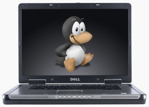 Dell laptop with Linux, from Laptoping