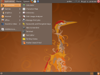 First look at Ubuntu 8.10 - Intrepid Ibex