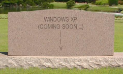 XP tombstone