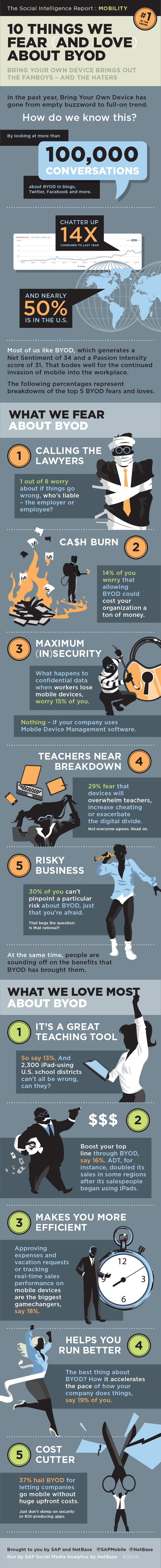 SAP NetBase BYOD Top Fears Loves Infographic R3
