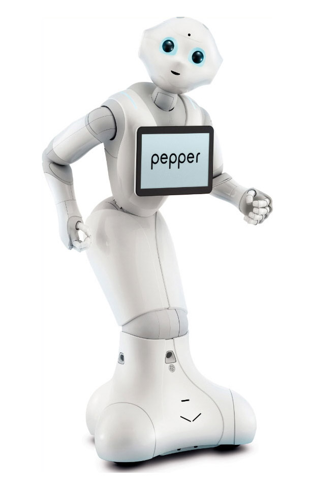 robo satisfacción Espinoso Brisk sales for Pepper, but Romeo is primed to be the first hit humanoid |  ZDNET