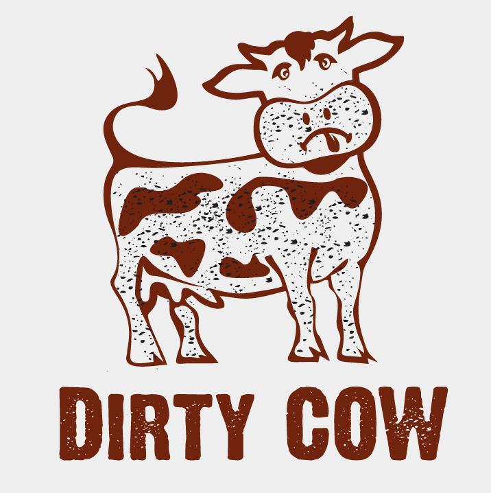 Dirty Cow Linux Bug