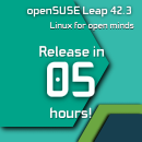 leapcountdown.png