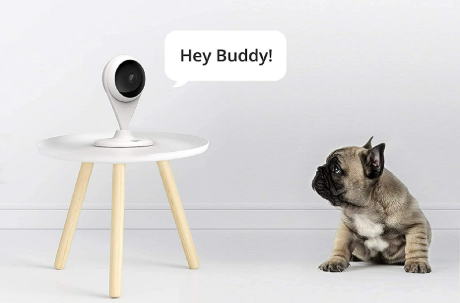 360 AC1C indoor security camera review low cost security camera that is simple to set up and use zdnet