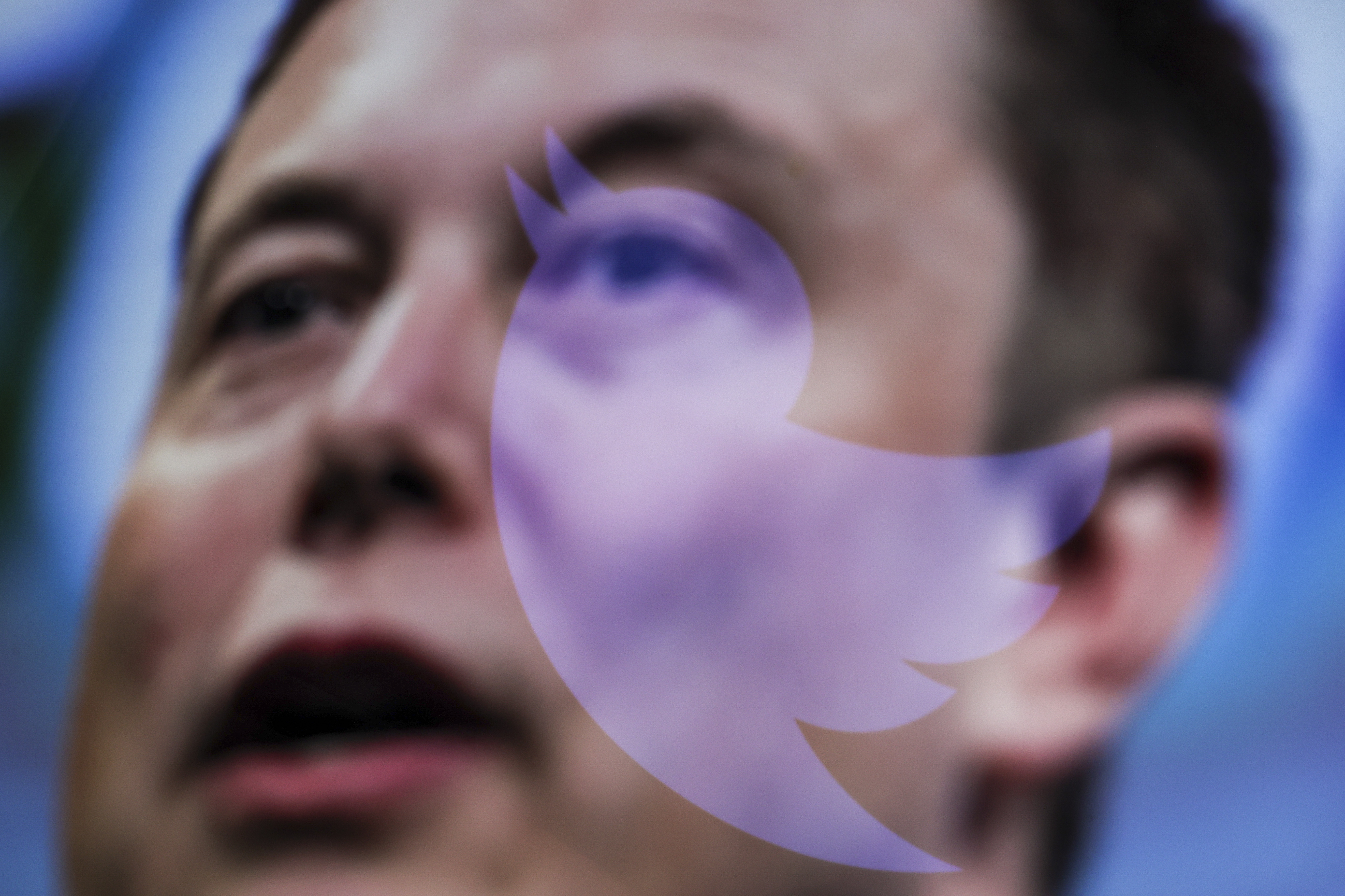 Twitter : Après avoir interdit le télétravail, Musk s'attaque aux déjeuners gratuits