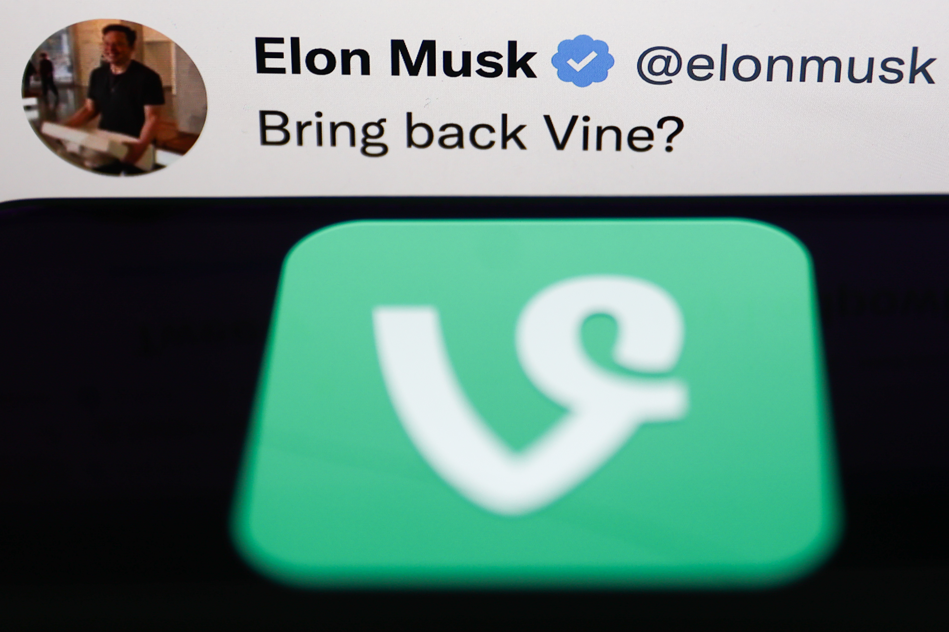 Elon Musk pourrait ressusciter Vine du cimetière des réseaux sociaux