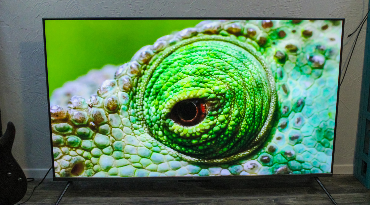 chameleon-pluto-tv-jungle-planet.jpg