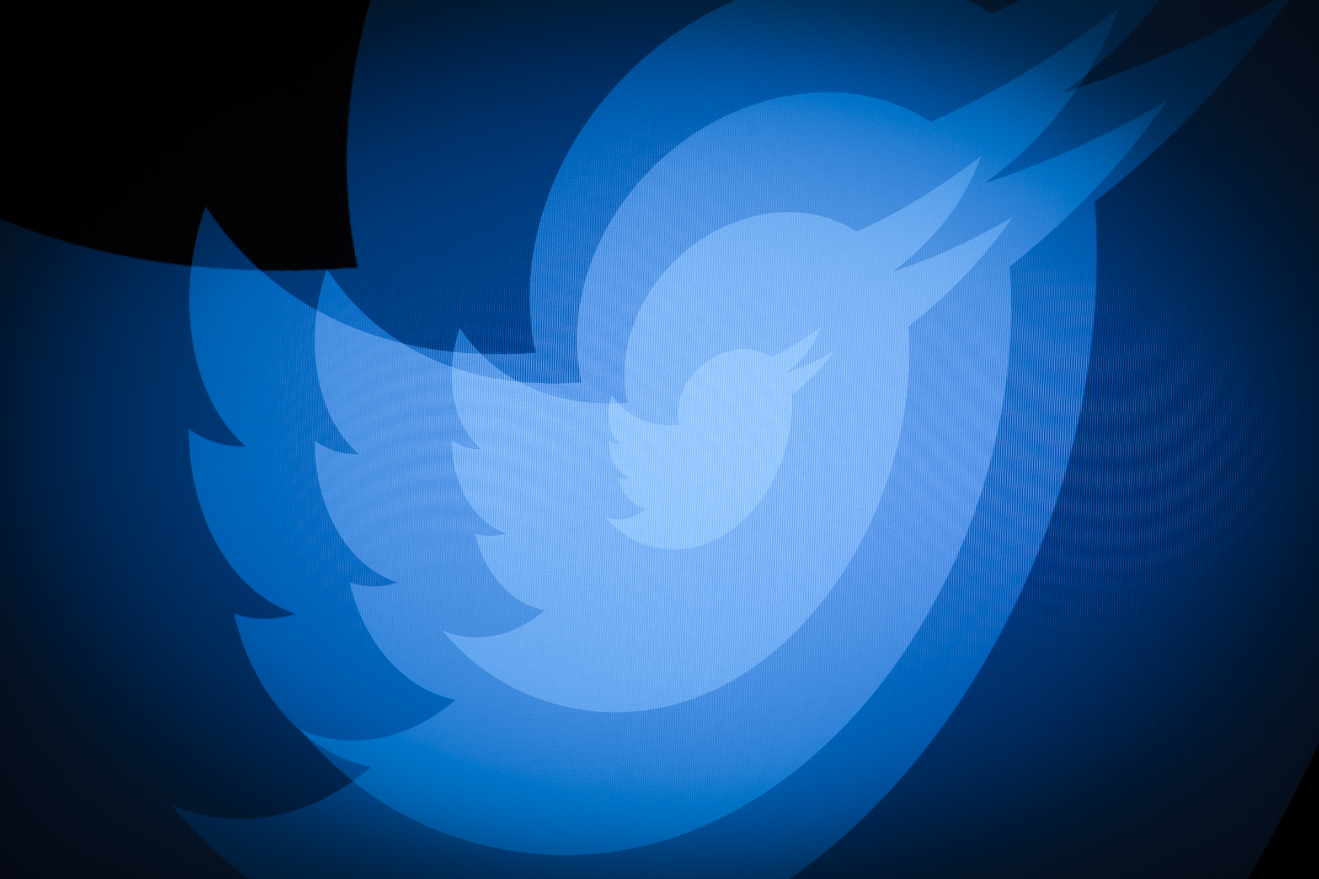 Twitter met ses utilisateurs gratuits à la poubelle et fait un pari risqué sur son avenir