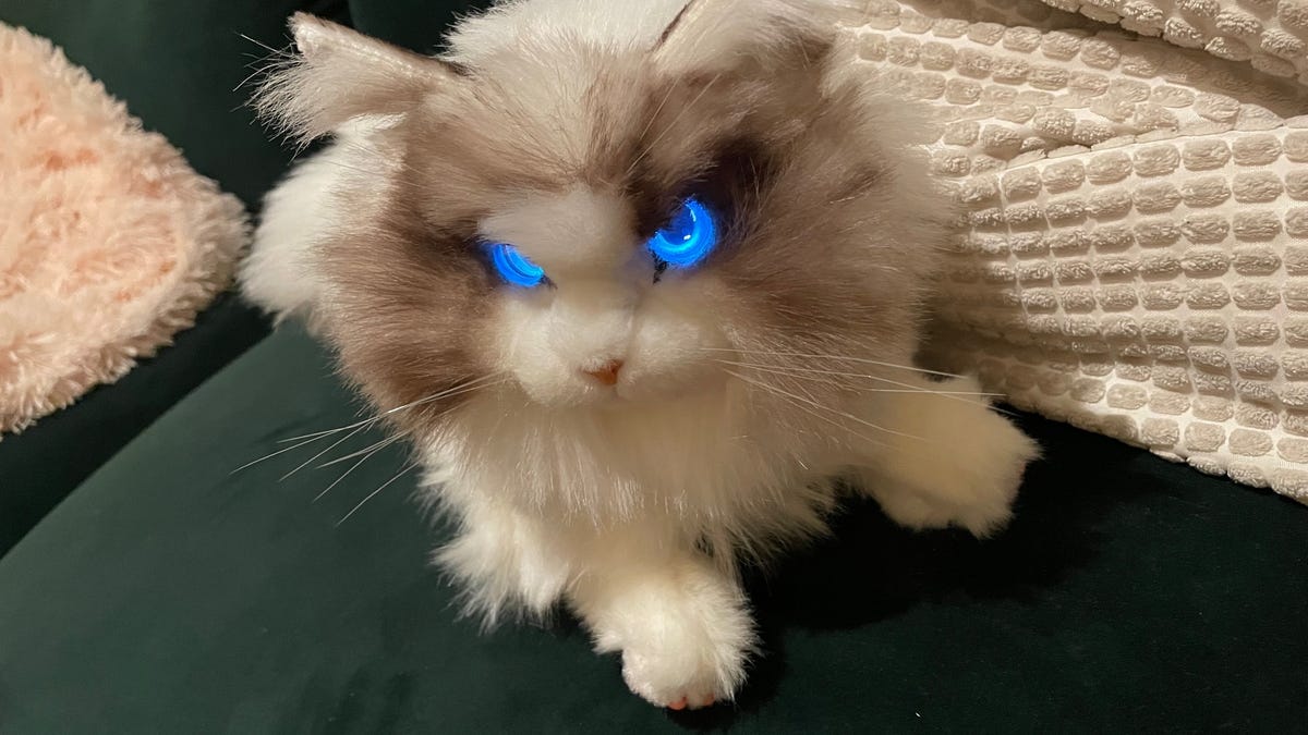 I just spent a week with a robot cat and my life will never be the same |  ZDNET