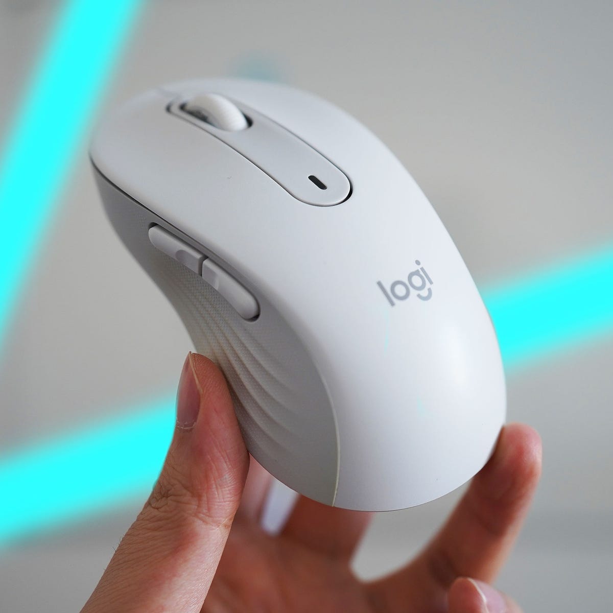 Logitech Signature M650 review: A mouse that speaks volumes | ZDNET