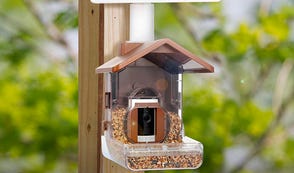The backyard birdcam you didn't know you needed is still $60 off