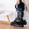 Person holding vacuum in living room setting