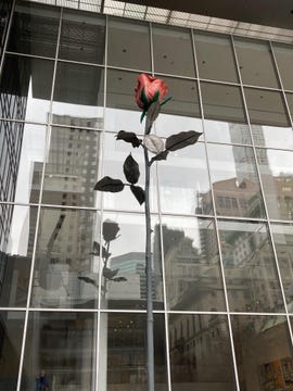 bangunan-dengan-mawar-new-york-city-march-2021-photo-by-joe-mckendrick.jpg