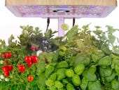 Way Day 2022 deal alert: Save $87 on Intelligent hydroponic unit