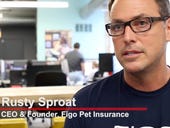 Video: Figo Pet Insurance: Scaling while being nimble