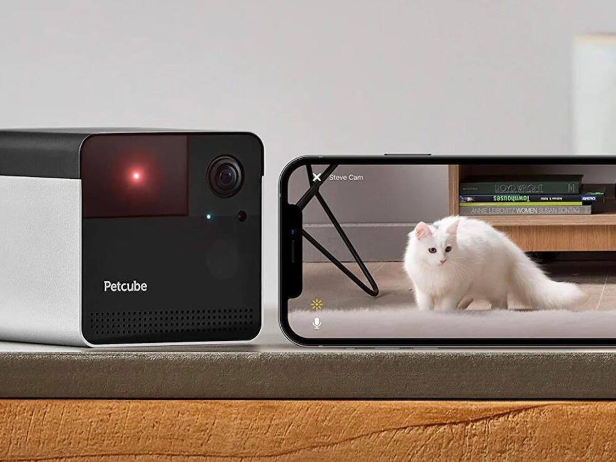 Проекта Petcube.. Pet камера