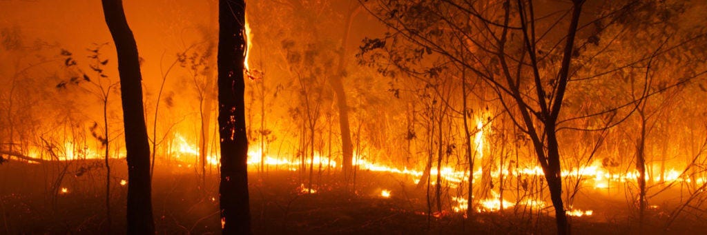 bushfires-2020-1024x341.jpg