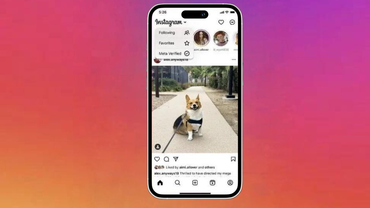 New Instagram feed feature