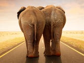 Hortonworks announces new alliances and releases; Hadoop comes to fork in road