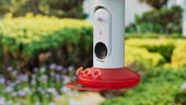 This new smart bird feeder can capture close-up images of hummingbirds