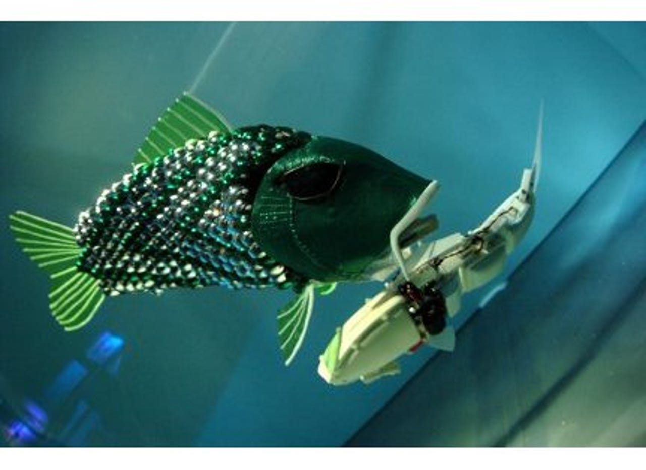 Robot fish and chips to fight water pollution